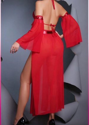 Purple-Daisy Fantasie buikdanseres kostuum voor vrouwen Sexy fantasie kostuum en sexy nachtjapon voor vrouwen 5 deliğe