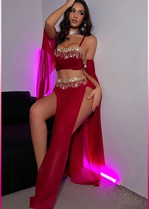 Purple-Daisy Deluxe Product Transparent Tulle Provocative Sequin Accessory 4-Piece Set Oriental Costume Sexy Belly Dancer Outfit