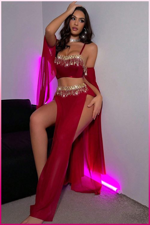 Purple-Daisy Deluxe Product Transparent Tulle Provocative Sequin Accessory 4-Piece Set Oriental Costume Sexy Belly Dancer Outfit