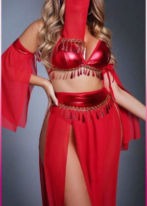 Purple-Daisy Fantasie buikdanseres kostuum voor vrouwen Sexy fantasie kostuum en sexy nachtjapon voor vrouwen 5 deliğe
