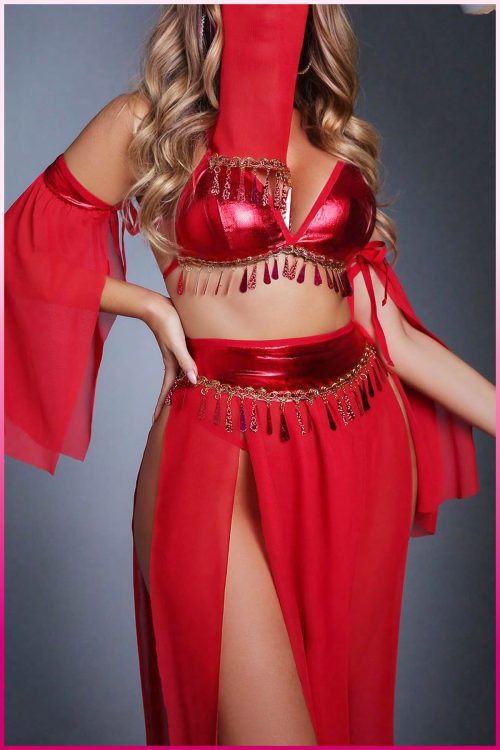 Purple-Daisy Fantasie buikdanseres kostuum voor vrouwen Sexy fantasie kostuum en sexy nachtjapon voor vrouwen 5 deliğe