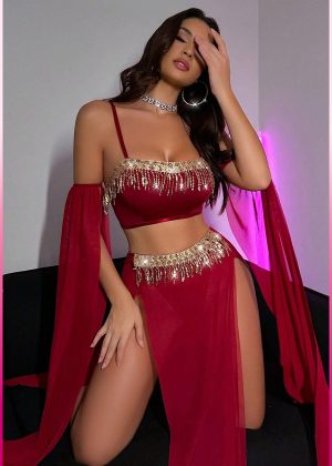 Purple-Daisy Deluxe Product Transparent Tulle Provocative Sequin Accessory 4-Piece Set Oriental Costume Sexy Belly Dancer Outfit