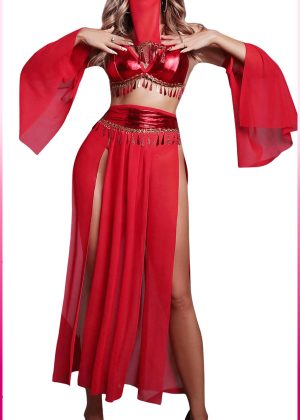 Purple-Daisy Fantasie buikdanseres kostuum voor vrouwen Sexy fantasie kostuum en sexy nachtjapon voor vrouwen 5 deliğe