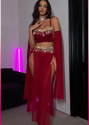 Purple-Daisy Deluxe Product Transparent Tulle Provocative Sequin Accessory 4-Piece Set Oriental Costume Sexy Belly Dancer Outfit