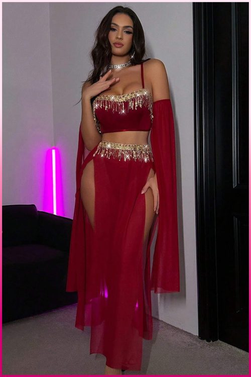 Purple-Daisy Deluxe Product Transparent Tulle Provocative Sequin Accessory 4-Piece Set Oriental Costume Sexy Belly Dancer Outfit