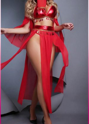 Purple-Daisy Fantasie buikdanseres kostuum voor vrouwen Sexy fantasie kostuum en sexy nachtjapon voor vrouwen 5 deliğe