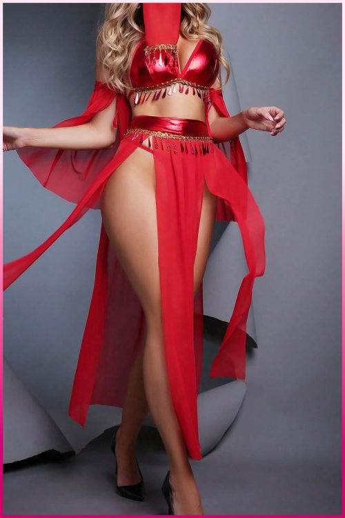 Purple-Daisy Fantasie buikdanseres kostuum voor vrouwen Sexy fantasie kostuum en sexy nachtjapon voor vrouwen 5 deliğe