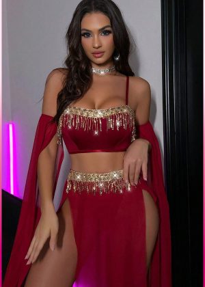 Purple-Daisy Deluxe Product Transparent Tulle Provocative Sequin Accessory 4-Piece Set Oriental Costume Sexy Belly Dancer Outfit