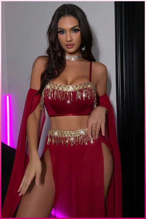 Purple-Daisy Deluxe Product Transparent Tulle Provocative Sequin Accessory 4-Piece Set Oriental Costume Sexy Belly Dancer Outfit