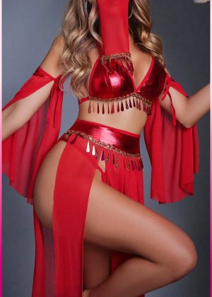Purple-Daisy Fantasie buikdanseres kostuum voor vrouwen Sexy fantasie kostuum en sexy nachtjapon voor vrouwen 5 deliğe
