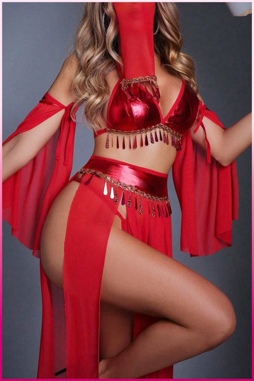 Purple-Daisy Fantasie buikdanseres kostuum voor vrouwen Sexy fantasie kostuum en sexy nachtjapon voor vrouwen 5 deliğe